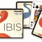 Wyjątkowe Karty do gry 2 talie PIATNIK IBIS